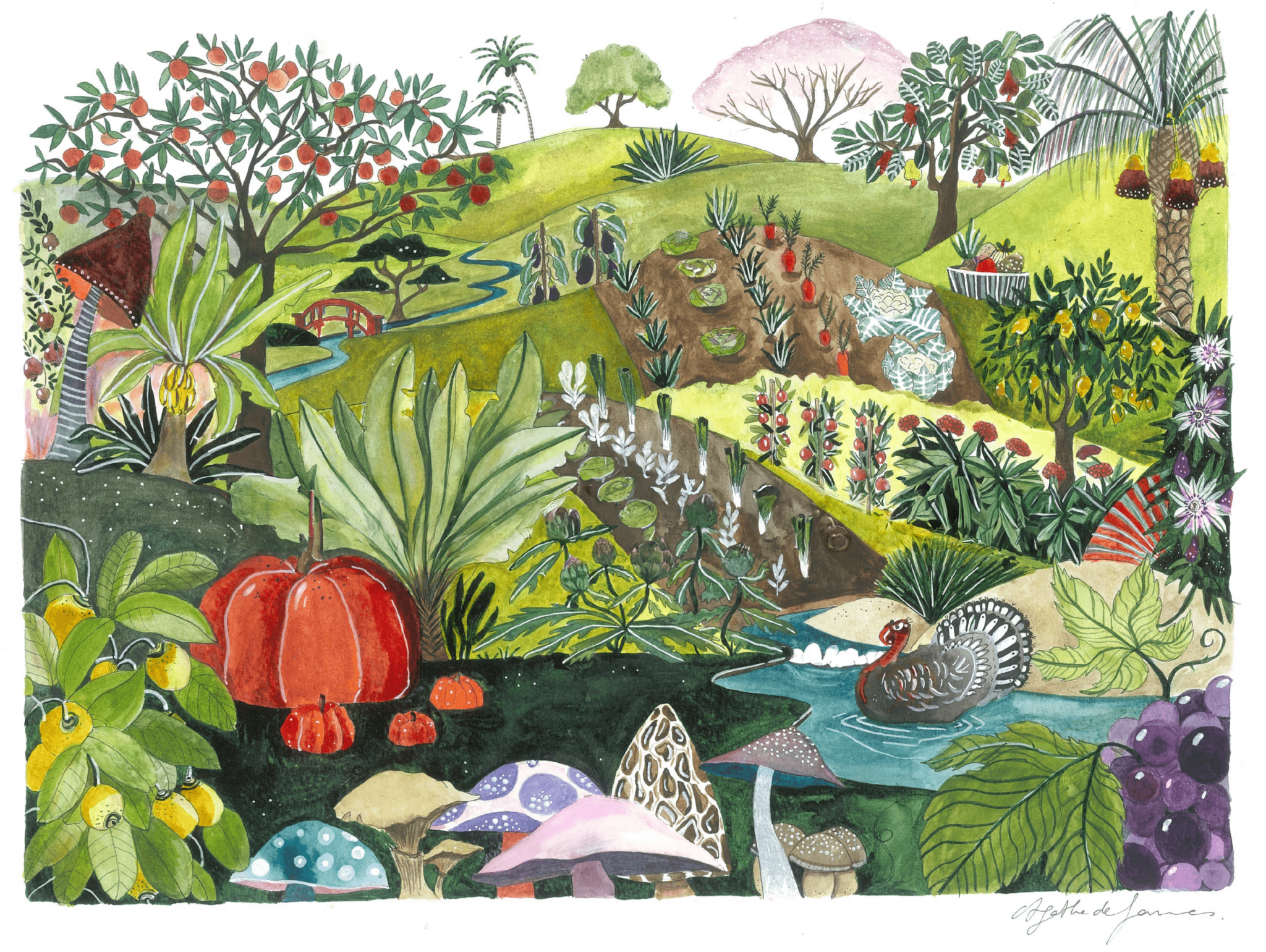Coloured illustration, representing a fantastic vegetable garden and a Japanese garden
